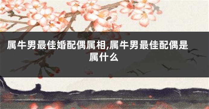 属牛男最佳婚配偶属相,属牛男最佳配偶是属什么