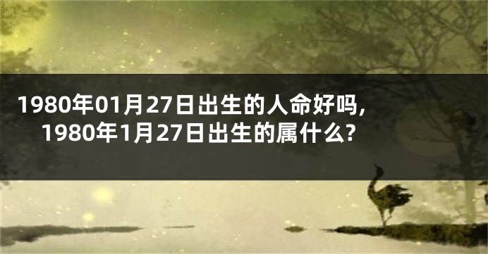 1980年01月27日出生的人命好吗,1980年1月27日出生的属什么?