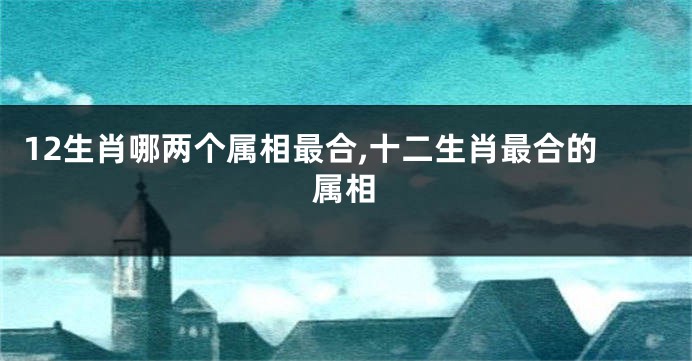 12生肖哪两个属相最合,十二生肖最合的属相