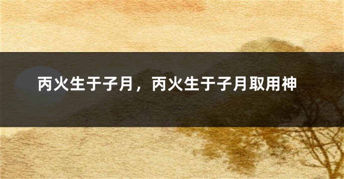 丙火生于子月，丙火生于子月取用神