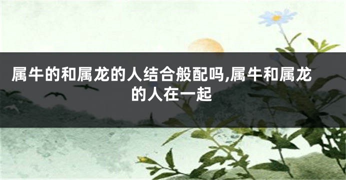 属牛的和属龙的人结合般配吗,属牛和属龙的人在一起