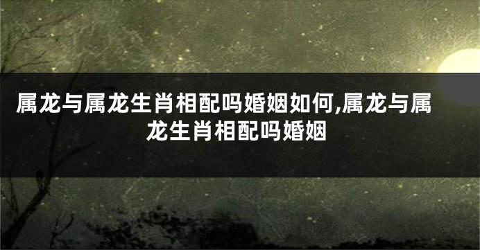 属龙与属龙生肖相配吗婚姻如何,属龙与属龙生肖相配吗婚姻