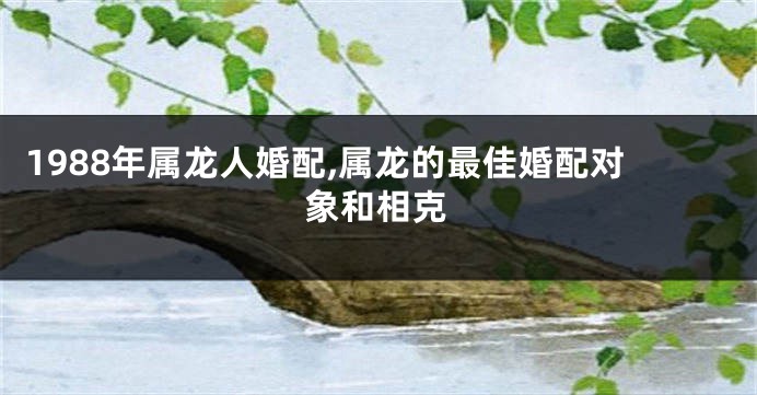 1988年属龙人婚配,属龙的最佳婚配对象和相克