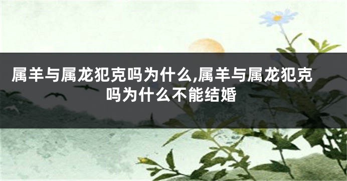 属羊与属龙犯克吗为什么,属羊与属龙犯克吗为什么不能结婚