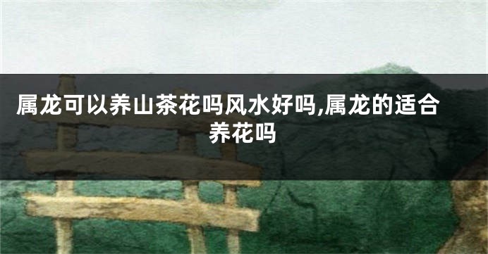 属龙可以养山茶花吗风水好吗,属龙的适合养花吗
