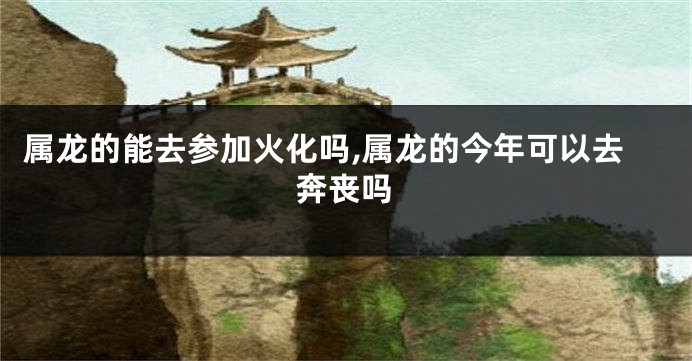属龙的能去参加火化吗,属龙的今年可以去奔丧吗