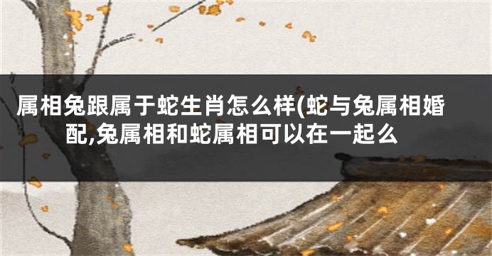 属相兔跟属于蛇生肖怎么样(蛇与兔属相婚配,兔属相和蛇属相可以在一起么