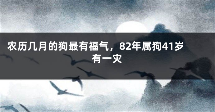 农历几月的狗最有福气，82年属狗41岁有一灾