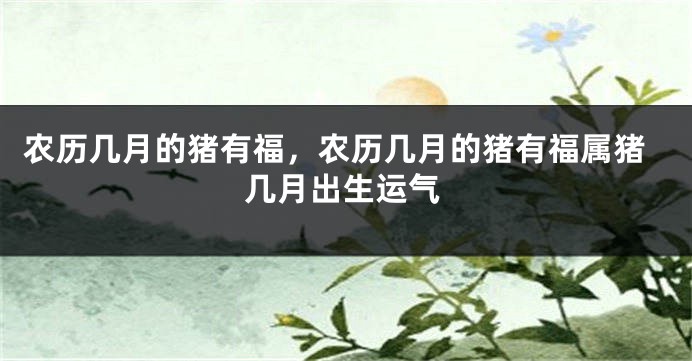 农历几月的猪有福，农历几月的猪有福属猪几月出生运气
