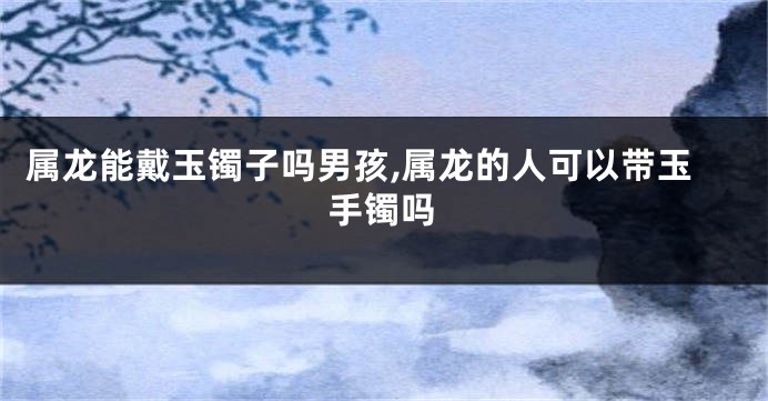 属龙能戴玉镯子吗男孩,属龙的人可以带玉手镯吗