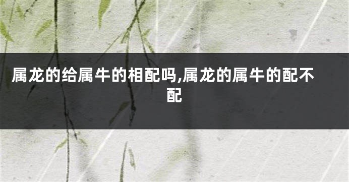 属龙的给属牛的相配吗,属龙的属牛的配不配