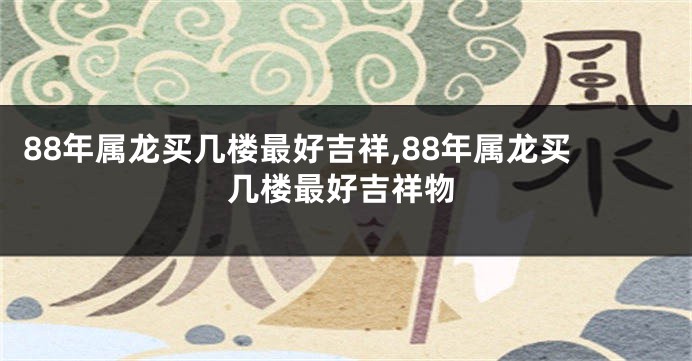 88年属龙买几楼最好吉祥,88年属龙买几楼最好吉祥物