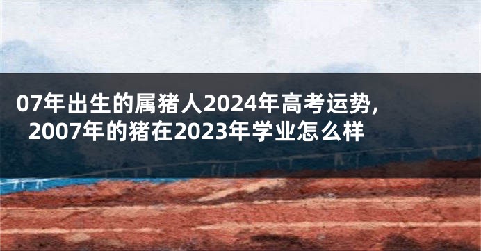 07年出生的属猪人2024年高考运势,2007年的猪在2023年学业怎么样