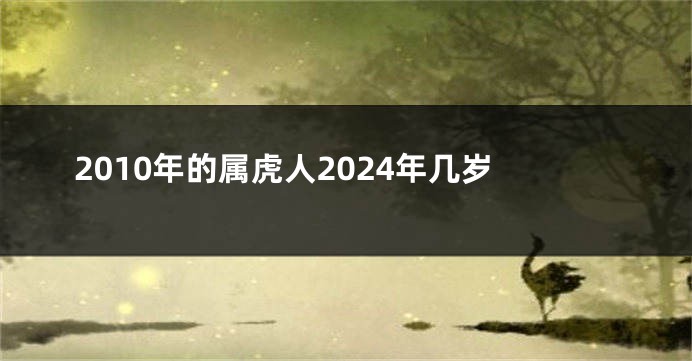 2010年的属虎人2024年几岁