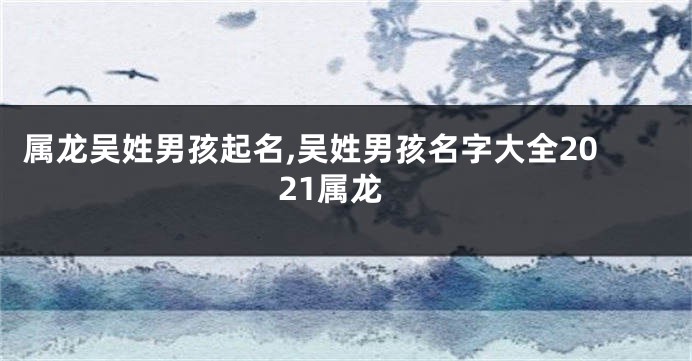 属龙吴姓男孩起名,吴姓男孩名字大全2021属龙