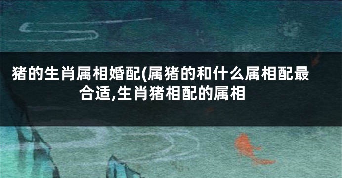 猪的生肖属相婚配(属猪的和什么属相配最合适,生肖猪相配的属相