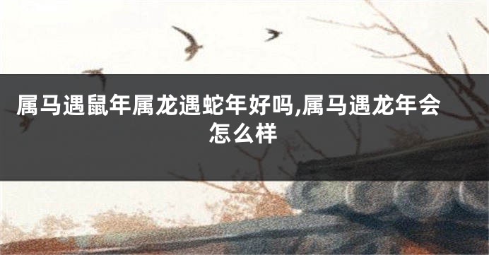 属马遇鼠年属龙遇蛇年好吗,属马遇龙年会怎么样