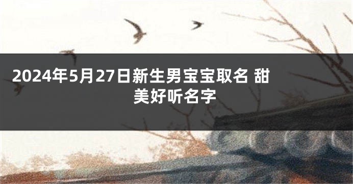 2024年5月27日新生男宝宝取名 甜美好听名字