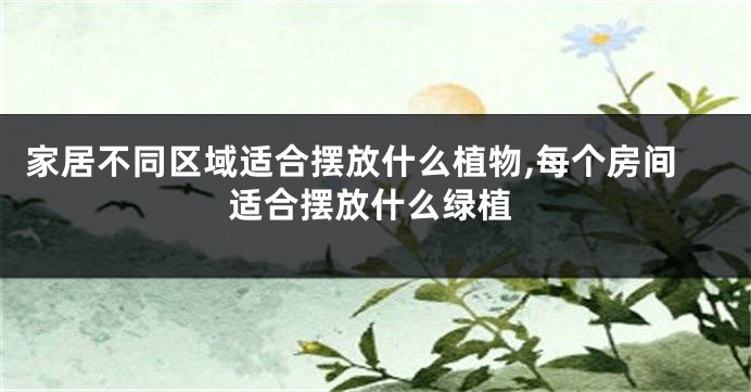 家居不同区域适合摆放什么植物,每个房间适合摆放什么绿植