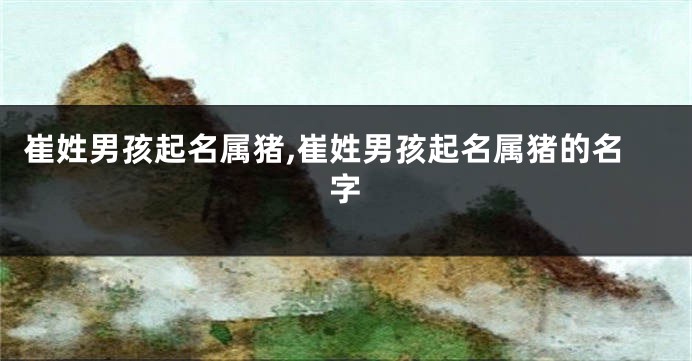 崔姓男孩起名属猪,崔姓男孩起名属猪的名字