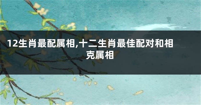12生肖最配属相,十二生肖最佳配对和相克属相
