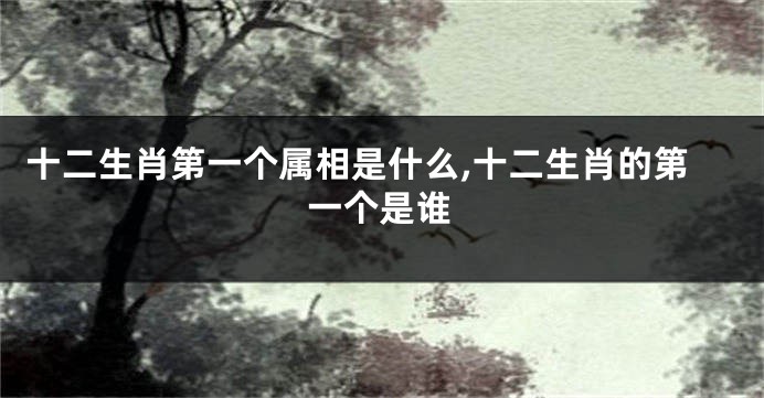 十二生肖第一个属相是什么,十二生肖的第一个是谁