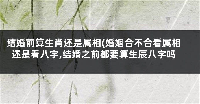 结婚前算生肖还是属相(婚姻合不合看属相还是看八字,结婚之前都要算生辰八字吗