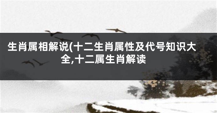 生肖属相解说(十二生肖属性及代号知识大全,十二属生肖解读