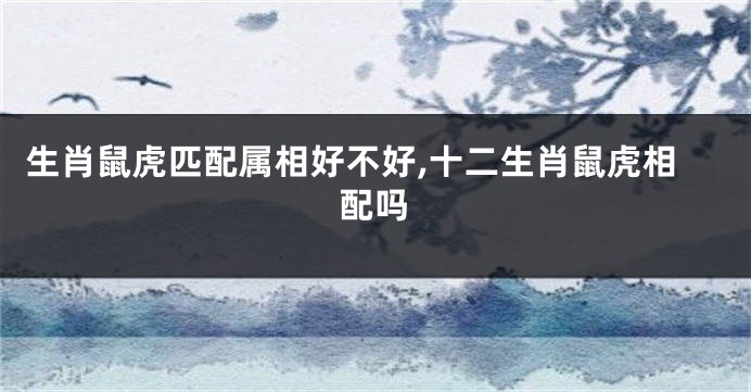 生肖鼠虎匹配属相好不好,十二生肖鼠虎相配吗