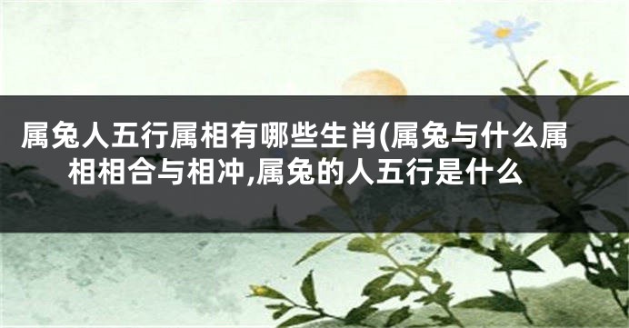 属兔人五行属相有哪些生肖(属兔与什么属相相合与相冲,属兔的人五行是什么