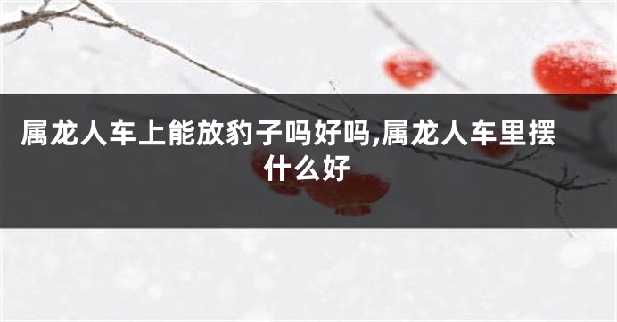 属龙人车上能放豹子吗好吗,属龙人车里摆什么好