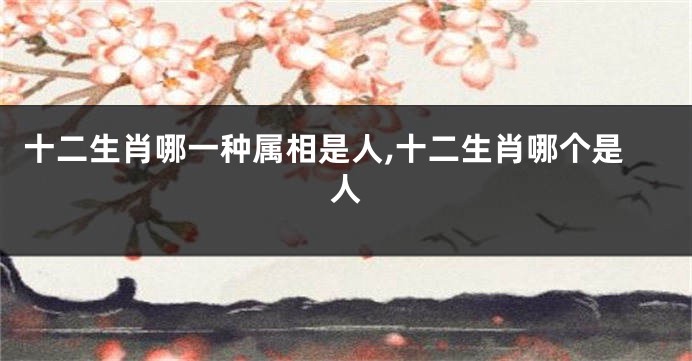 十二生肖哪一种属相是人,十二生肖哪个是人