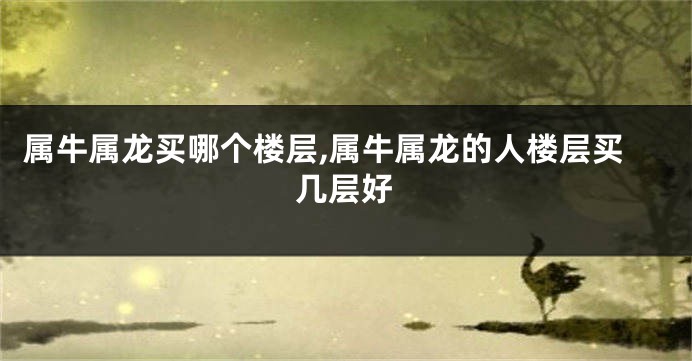 属牛属龙买哪个楼层,属牛属龙的人楼层买几层好