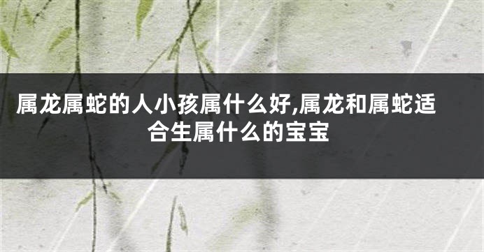 属龙属蛇的人小孩属什么好,属龙和属蛇适合生属什么的宝宝
