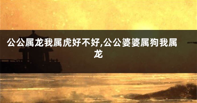 公公属龙我属虎好不好,公公婆婆属狗我属龙