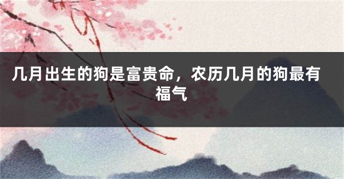 几月出生的狗是富贵命，农历几月的狗最有福气