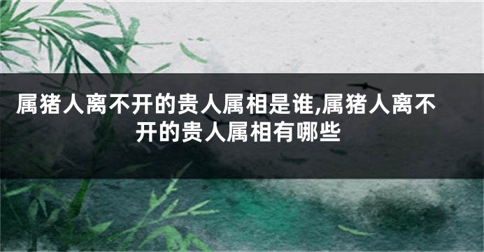 属猪人离不开的贵人属相是谁,属猪人离不开的贵人属相有哪些