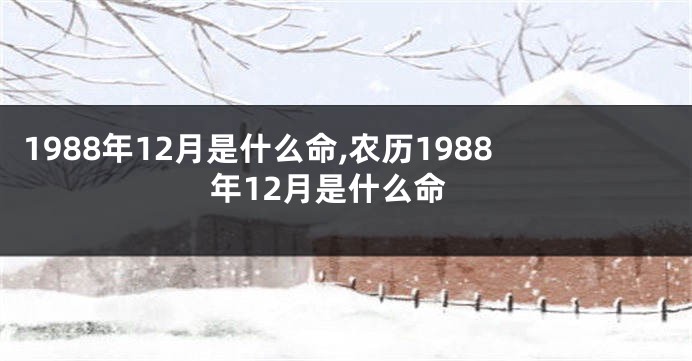 1988年12月是什么命,农历1988年12月是什么命