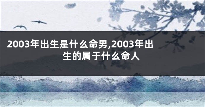 2003年出生是什么命男,2003年出生的属于什么命人