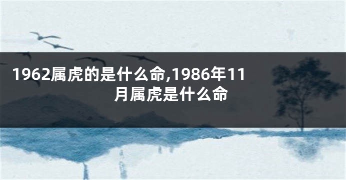 1962属虎的是什么命,1986年11月属虎是什么命