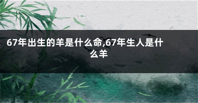 67年出生的羊是什么命,67年生人是什么羊