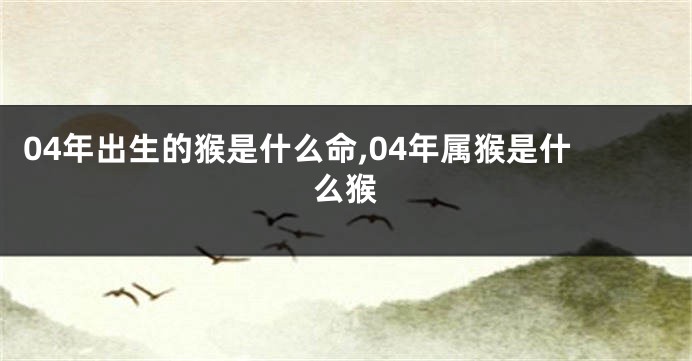 04年出生的猴是什么命,04年属猴是什么猴
