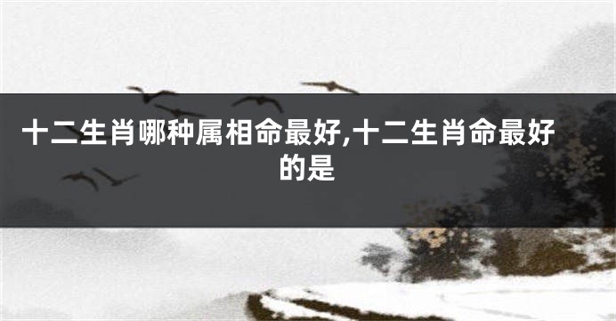 十二生肖哪种属相命最好,十二生肖命最好的是