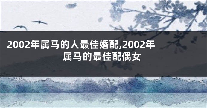 2002年属马的人最佳婚配,2002年属马的最佳配偶女