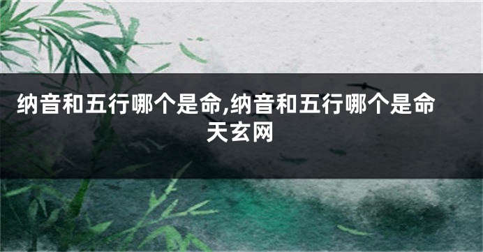 纳音和五行哪个是命,纳音和五行哪个是命天玄网