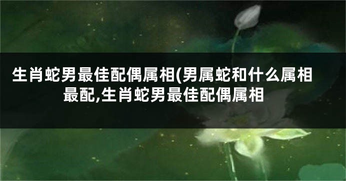 生肖蛇男最佳配偶属相(男属蛇和什么属相最配,生肖蛇男最佳配偶属相