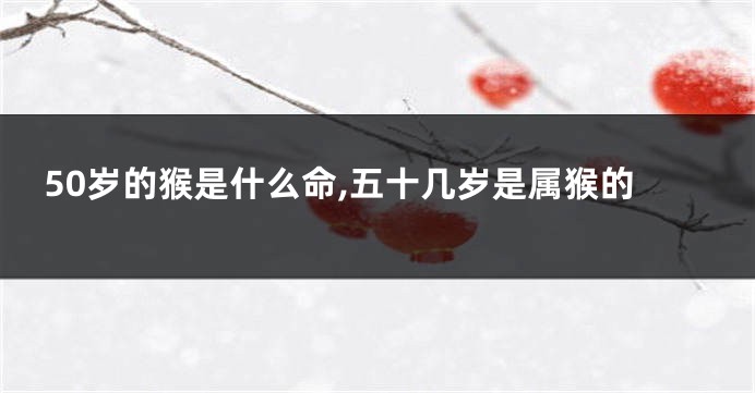 50岁的猴是什么命,五十几岁是属猴的