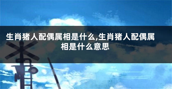 生肖猪人配偶属相是什么,生肖猪人配偶属相是什么意思