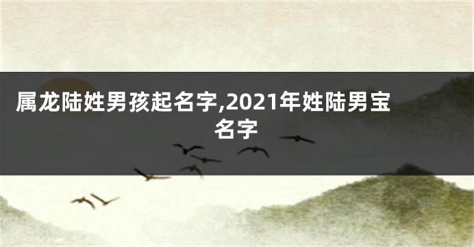 属龙陆姓男孩起名字,2021年姓陆男宝名字