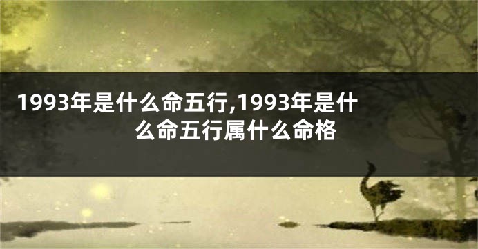 1993年是什么命五行,1993年是什么命五行属什么命格